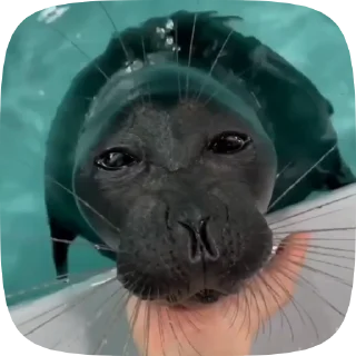 😙 emoji Лучьше стикеры - @lovesticers Telegram sticker 3 of 46