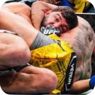 📦 emoji UFC Memes — @stckrRobot Telegram sticker 15 of 109