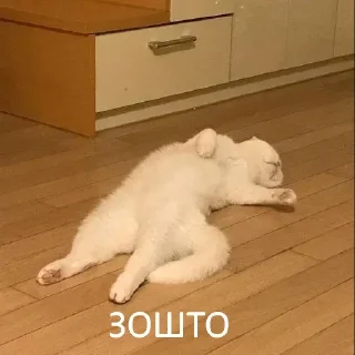 😢 emoji Больше стикеров: @sticerru Telegram sticker 5 of 120