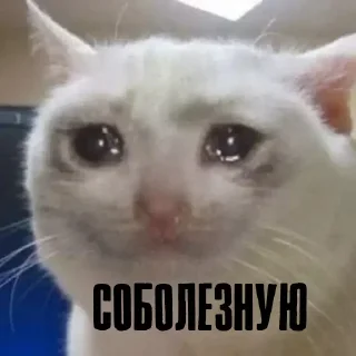 😔 emoji Больше стикеров: @sticerru Telegram sticker 20 of 120
