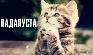 🙏 emoji Больше стикеров: @sticerru Telegram sticker 15 of 120