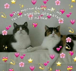 😘 emoji Кітики Telegram sticker 13 of 64