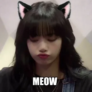 🐱 emoji lisa kinda…. @yaeeo Telegram sticker 10 of 27