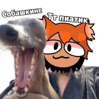 😼 emoji Пиратик зкс Telegram sticker 17 of 26
