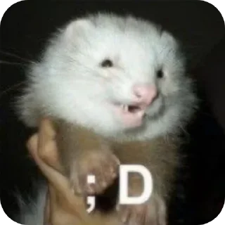 🦦 emoji ferrets 0.1 ??¿?11 ;0 | @SkibidiCitrusMeow | by @offstikbot Telegram sticker 24 of 58