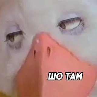 🤔 emoji бездушный стикерпак — @stckrRobot Telegram sticker 11 of 120