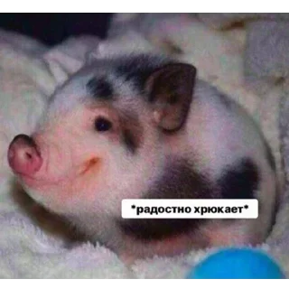 ☺️ emoji бездушный стикерпак — @stckrRobot Telegram sticker 5 of 120
