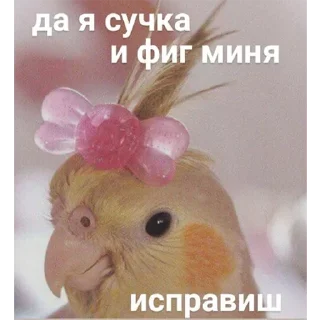 😉 emoji бездушный стикерпак — @stckrRobot Telegram sticker 3 of 120