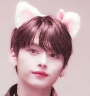 🥺 emoji минхо омежечка🥰🎀🎀 @Stikery4bot Telegram sticker 17 of 23