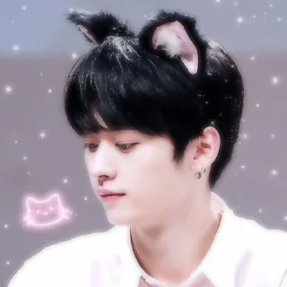 🥺 emoji минхо омежечка🥰🎀🎀 @Stikery4bot Telegram sticker 11 of 23