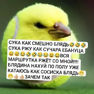 😅 emoji птица ➡️ @Ctikerubot Telegram sticker 9 of 18