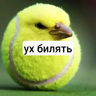Sticker from птица ➡️ @Ctikerubot