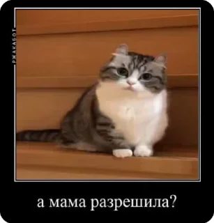 🤨 emoji Больше стиков тут: @stikery4 Telegram sticker 4 of 12
