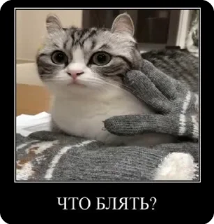 😯 emoji Больше стиков тут: @stikery4 Telegram sticker 9 of 12