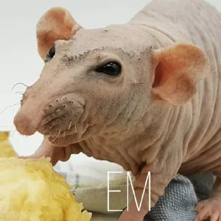 🤤 emoji Больше стиков тут: @stikery4 Telegram sticker 15 of 43