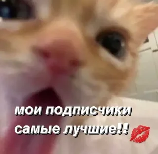 ❤️ emoji @saintwb СТИКЕРЫ ДЛЯ АДМИНОВ Telegram sticker 24 of 39