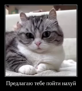 Sticker from Комарки @not_a_dude