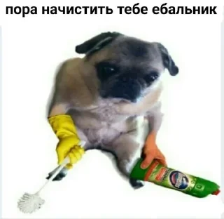 Sticker from а чё?