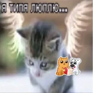 🤍 emoji аята нагни меня Telegram sticker 9 of 82