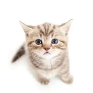 ☺️ emoji ты Telegram sticker 7 of 29