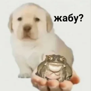 Sticker from Жабу