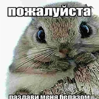 🥺 emoji Больше стикеров: @sticerru Telegram sticker 9 of 79