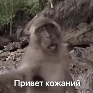 👋 emoji Больше стиков тут: @stikery4 Telegram sticker 3 of 40