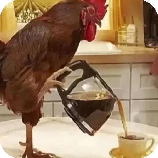 🐦 emoji Куринаяножка Telegram sticker 12 of 45