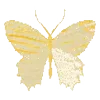 🦋 emoji ♡ name of tg: emojis_prem ♡ Telegram sticker 10 of 200