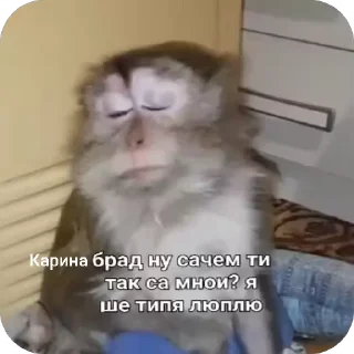 🥺 emoji Набор для елми) Telegram sticker 16 of 19