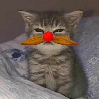 😼 emoji Усы JJ_D4C @StickersPackRobot Telegram sticker 14 of 32