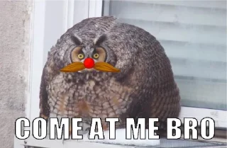 🦉 emoji Усы JJ_D4C @StickersPackRobot Telegram sticker 5 of 32