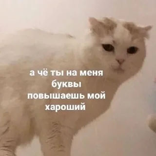 Sticker from важное