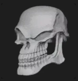 Sticker from xuisos