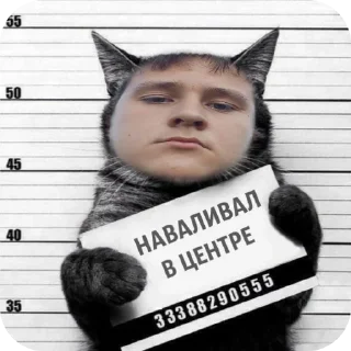 🐱 emoji Скуфослав/Говнослав/Свинослав Telegram sticker 20 of 27