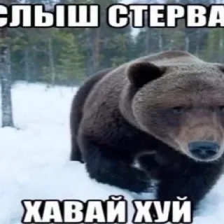 🤣 emoji Лучьше стикеры - @lovesticers Telegram sticker 1 of 99
