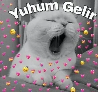 🌟 emoji @WhiteNigga04 @DTOUserBot Paketi 1 Telegram sticker 2 of 39