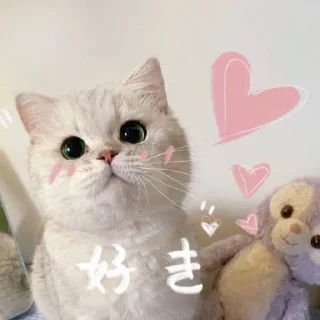 🐈 emoji ⋆ 従う⋮ @llxe9 🐈♡゙. Telegram sticker 15 of 25