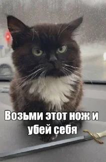 💀 emoji Больше стикеров: @sticerru Telegram sticker 13 of 69
