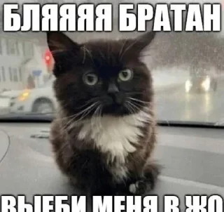❤️ emoji Больше стикеров: @sticerru Telegram sticker 2 of 69
