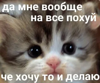 🖕 emoji Больше стикеров: @sticerru Telegram sticker 10 of 69