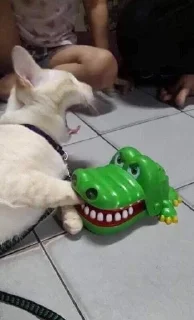 🐊 emoji vsyakiye smeshnyye shtuki Telegram sticker 12 of 98