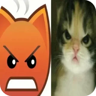 🐱 emoji Не заходи сюда👉🏻 @stikiin Telegram sticker 21 of 40