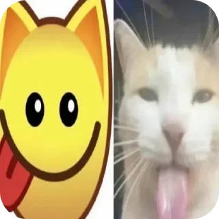 🐱 emoji Не заходи сюда👉🏻 @stikiin Telegram sticker 20 of 40