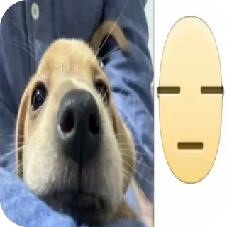 🐱 emoji Не заходи сюда👉🏻 @stikiin Telegram sticker 5 of 40