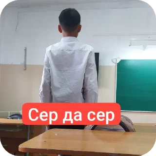 🖥 emoji манчылар Telegram sticker 11 of 74