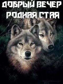 🌟 emoji Больше стикеров 👉🏻 @stickertg4 Telegram sticker 5 of 67