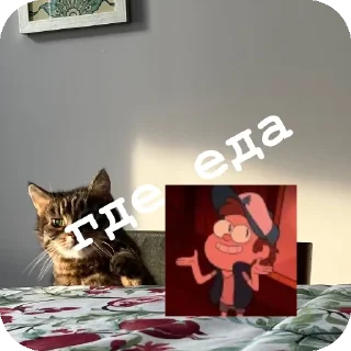 🐱 emoji Маз хуесос @sozdat_stikery_bot Telegram sticker 6 of 10