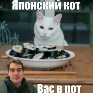 😎 emoji Больше стиков тут: @stikery4 Telegram sticker 15 of 59
