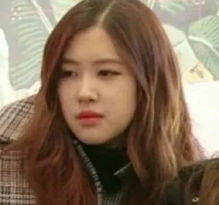 🙁 emoji chaeyoung bpink❤️ by @pelmewwwka Telegram sticker 15 of 53